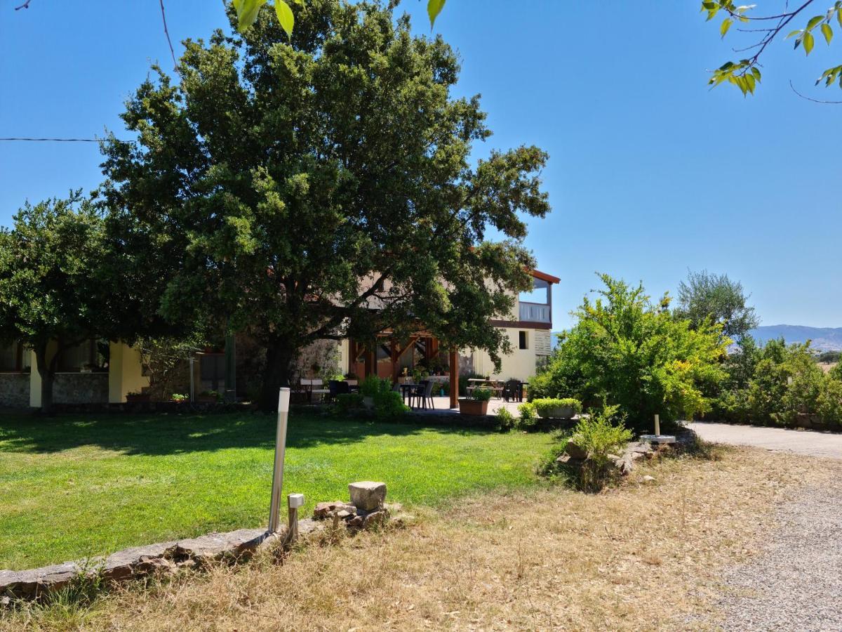 Agriturismo Sa Pigalva Tula Eksteriør bilde