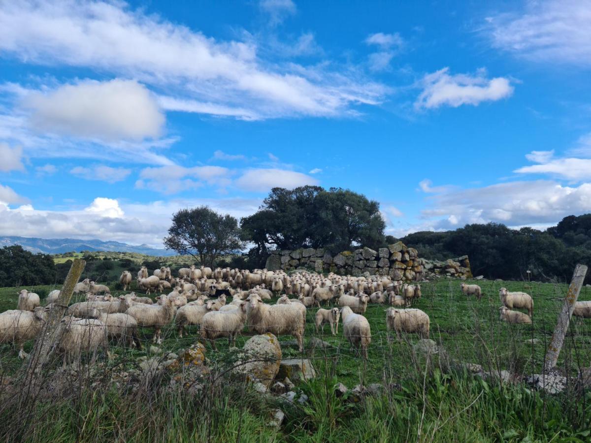 Agriturismo Sa Pigalva Tula Eksteriør bilde