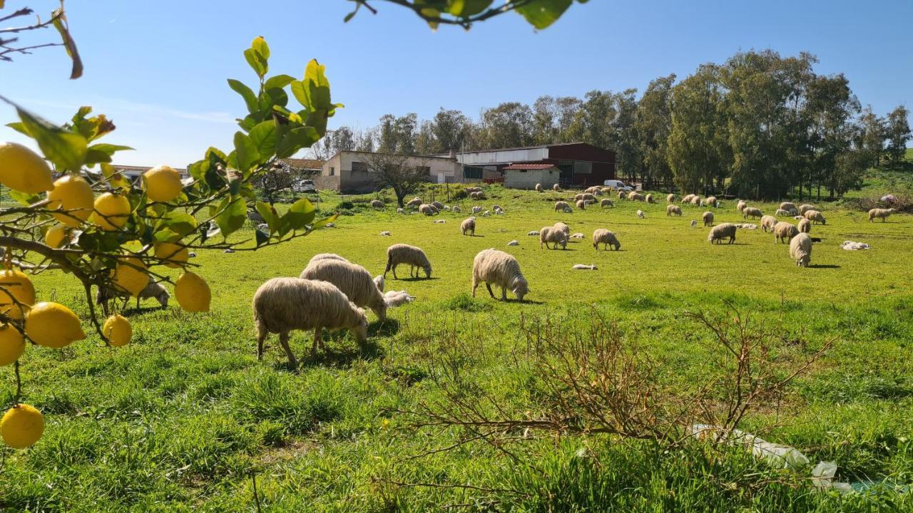 Agriturismo Sa Pigalva Tula Eksteriør bilde