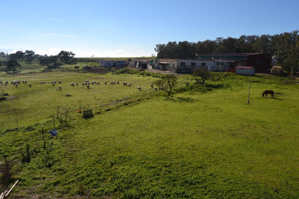 Agriturismo Sa Pigalva Tula Eksteriør bilde