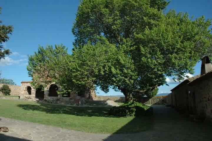 Agriturismo Sa Pigalva Tula Eksteriør bilde