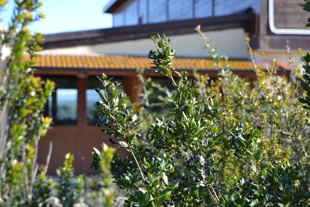 Agriturismo Sa Pigalva Tula Eksteriør bilde