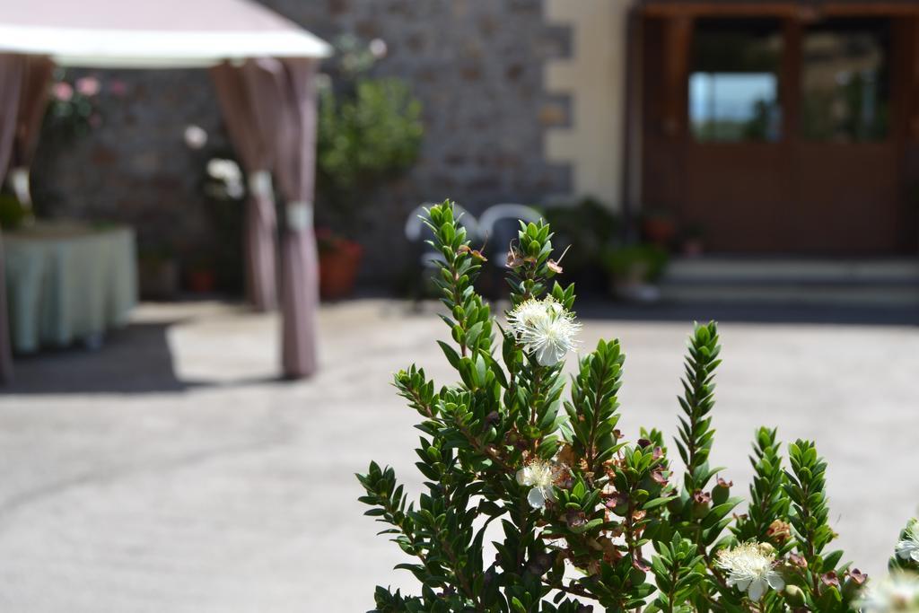 Agriturismo Sa Pigalva Tula Eksteriør bilde